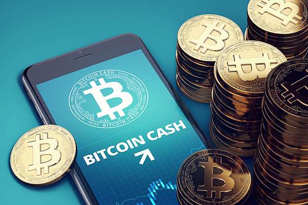 Все, что нужно знать про холодный кошелек Bitcoin Cash