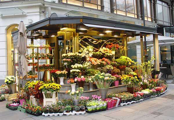 Бизнес-идея: Как открыть цветочный магазин?