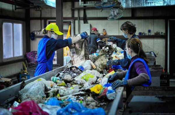 Бизнес-идея: переработка мусора как прибыльный вид бизнеса