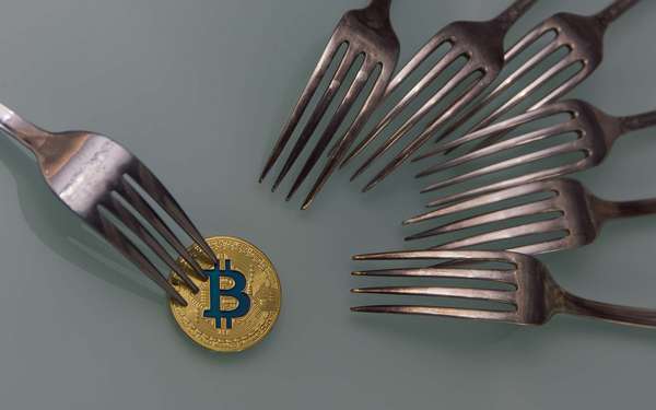 Forking Bitcoins